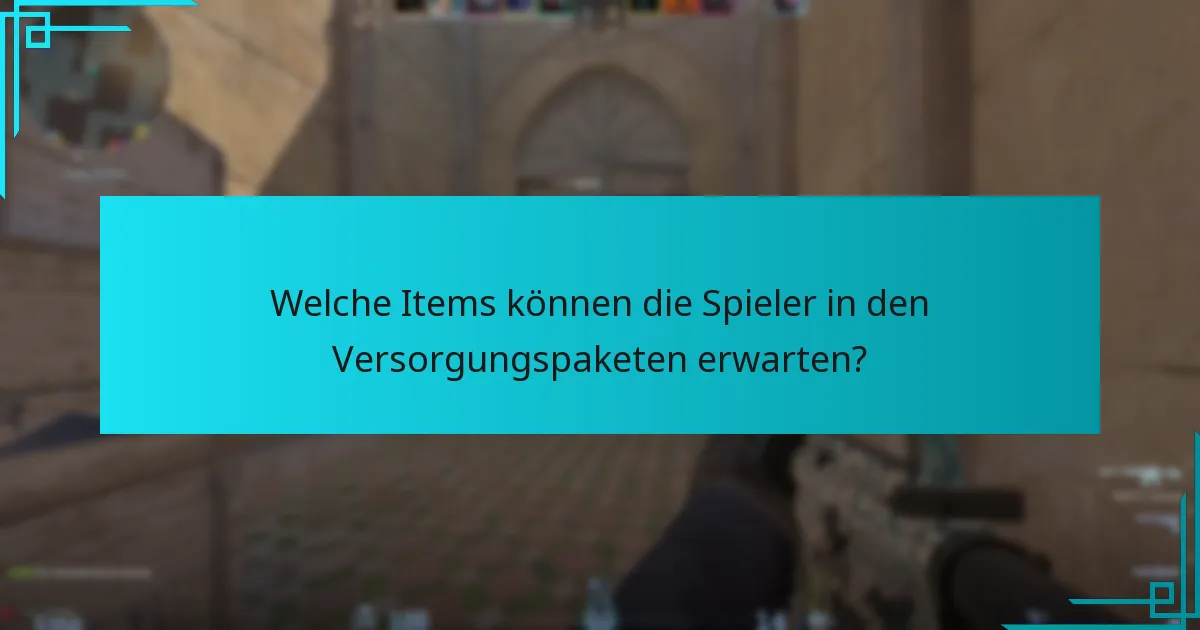 Wie können Spieler Items aus Versorgungspaketen effektiv nutzen?