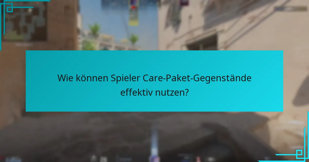 Wie können Spieler Care-Paket-Gegenstände effektiv nutzen?