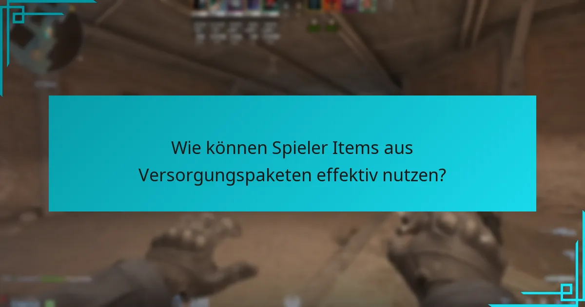 Wie können Spieler Items aus Versorgungspaketen effektiv nutzen?